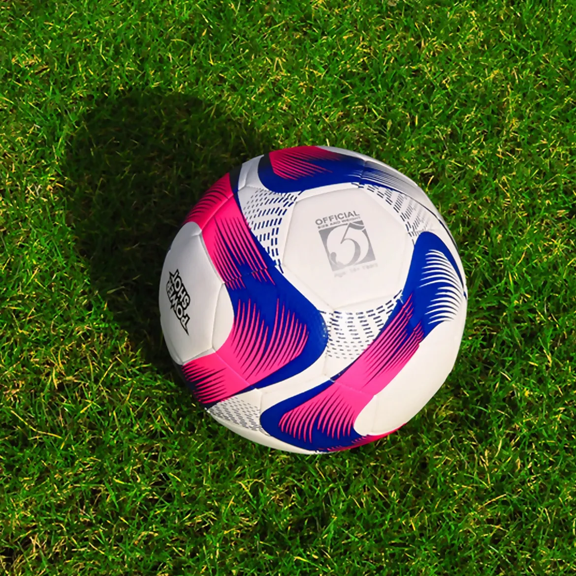 Ballon Powershot Rose et Bleu Taille 5