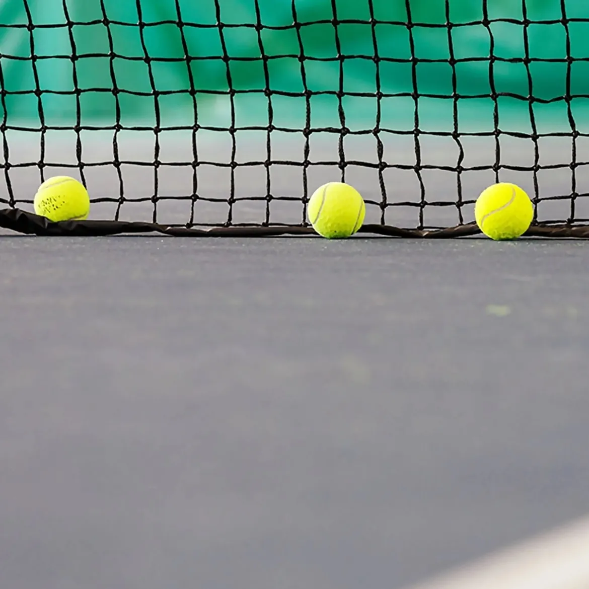 CARRINGTON® Filet de Tennis Expert - Ultra Durable - Bandes en PVC sur les côtés et en bas