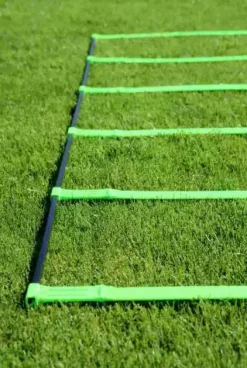Echelle d'agilité pliable