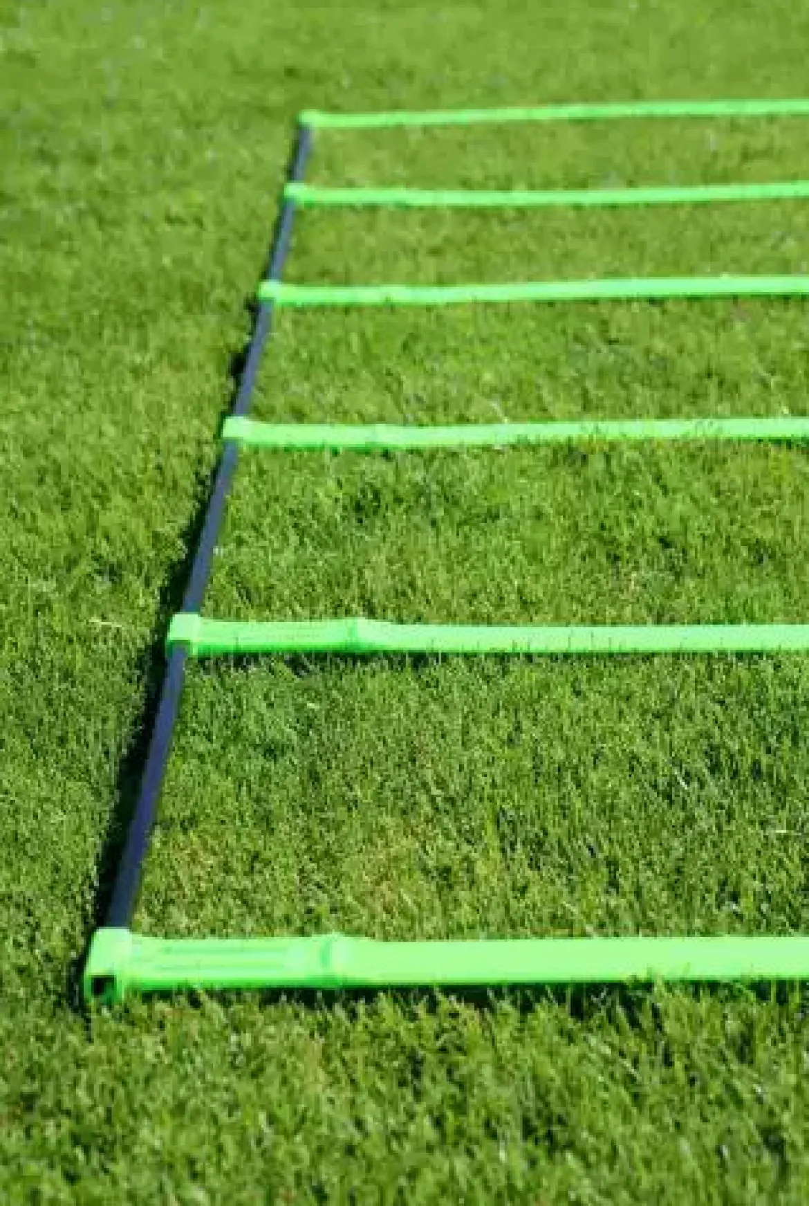 Echelle d'agilité pliable