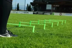Echelle d'agilité pliable