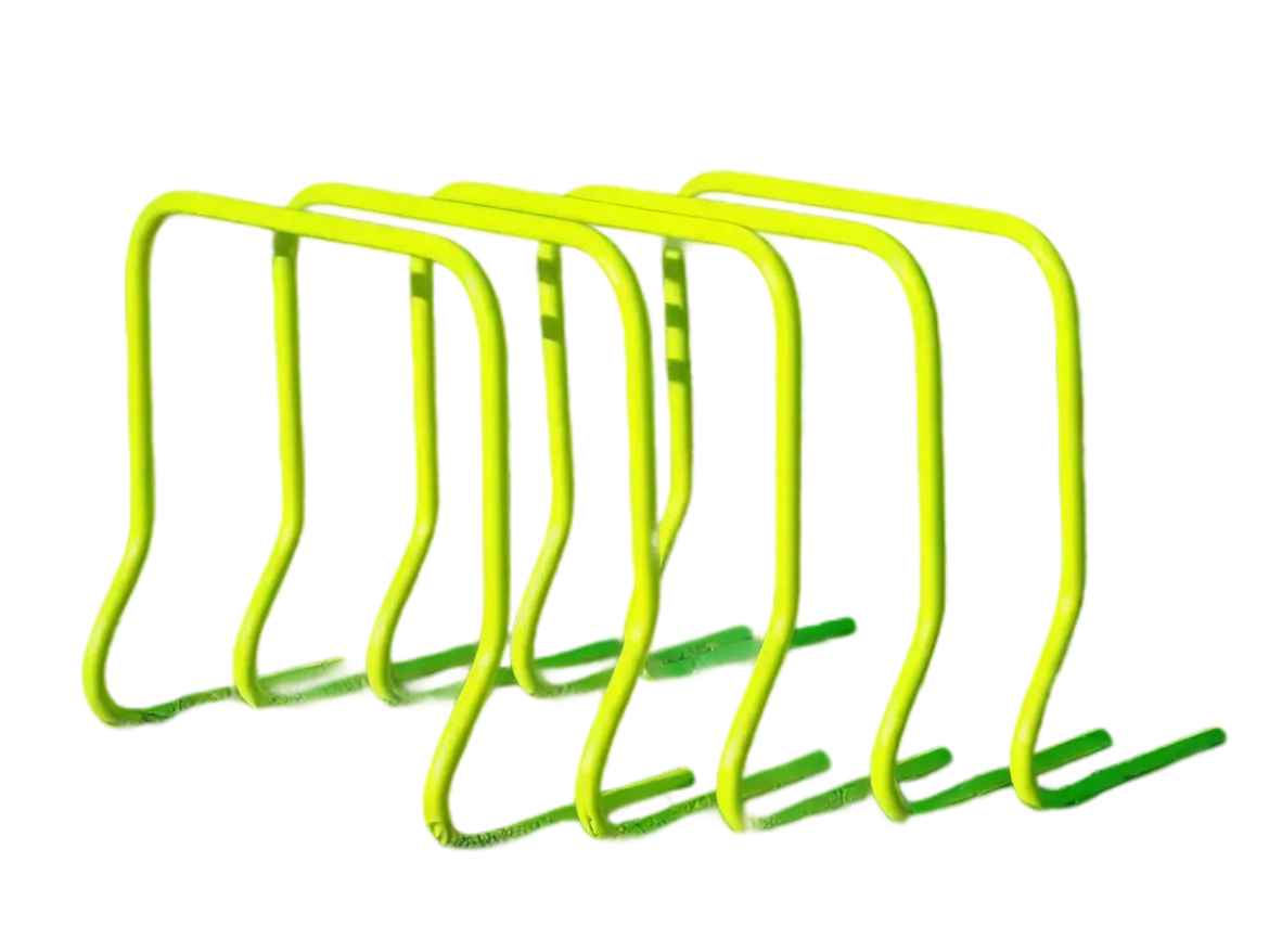 Ensemble de 5 haies - 45 cm