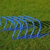 Ensemble de 5 haies - 30 cm