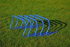 Ensemble de 5 haies - 30 cm