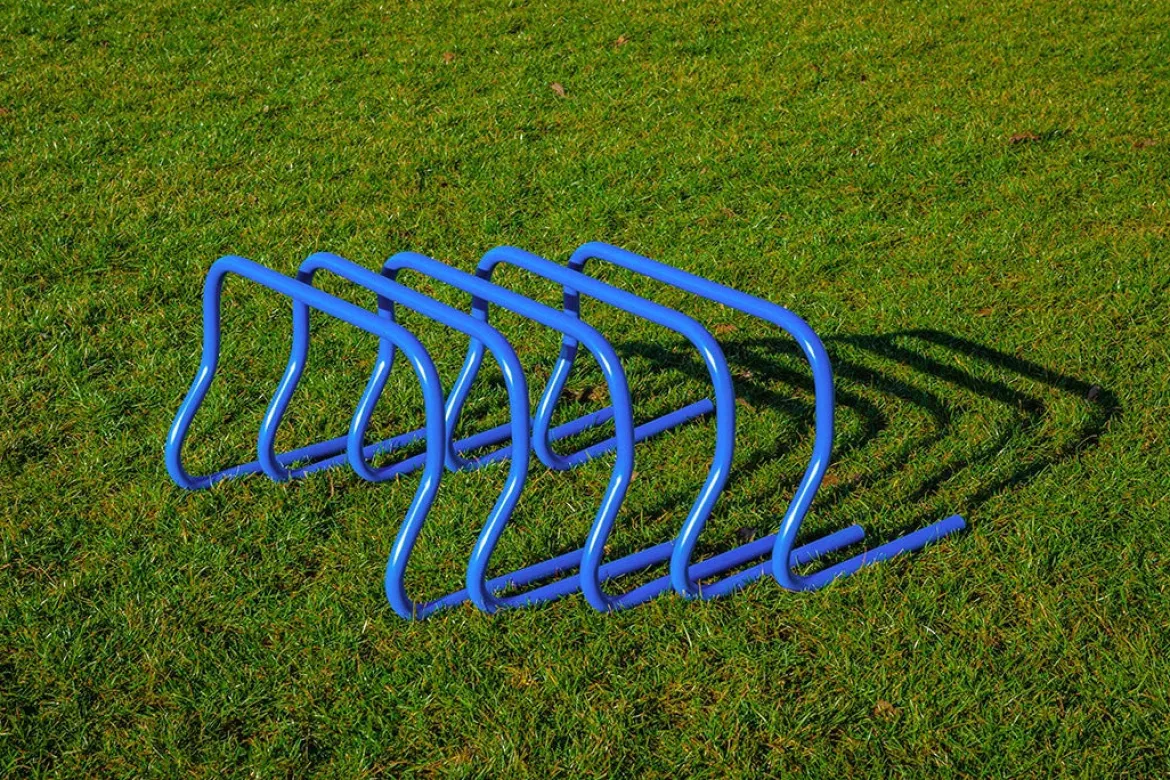 Ensemble de 5 haies - 30 cm