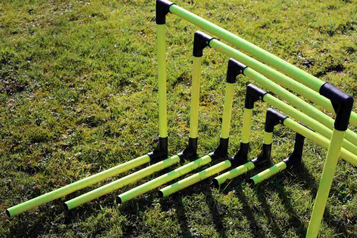 Haies d’agilité pliables - Lot de 6