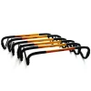 Haies "Self Return" - 20cm - Lot de 6