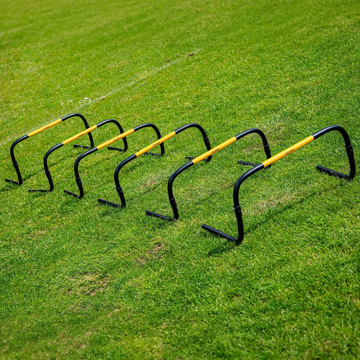 Haies "Self Return" - 20cm - Lot de 6