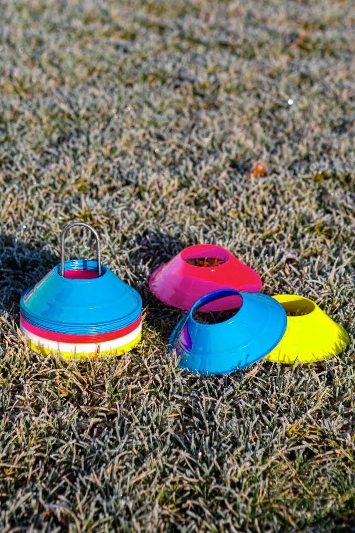 Lot de 50 mini-coupelles de délimitation