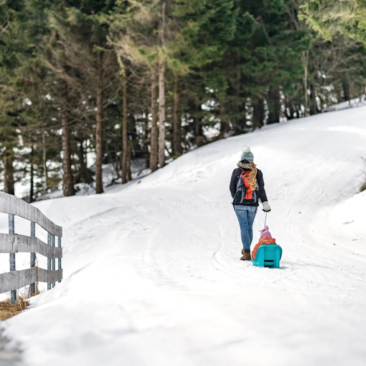 Luge bébé avec ceinture de sécurité - Tempo Snow TGX-250