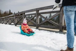 Luge bébé avec ceinture de sécurité - Tempo Snow TGX-250