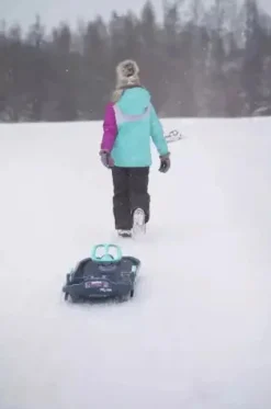 Luge SNOW EXPRESS - avec volant