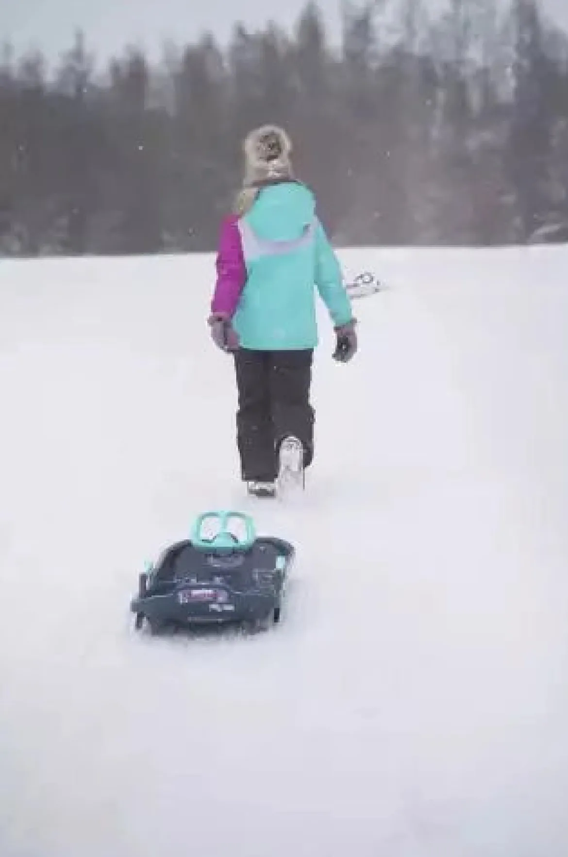 Luge SNOW EXPRESS - avec volant