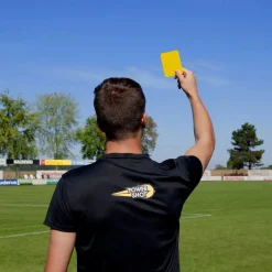 Paire de cartons pour remplacement kit arbitre