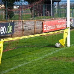 VIZOSOL - 76% des buts marqués !